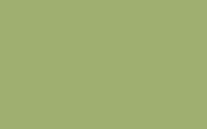 70380_Noblesse_GR1 70380 GR1