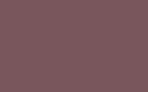 70391_Noblesse_VI2 70391 VI2