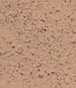 Marmoroc_Arctix_Color_440